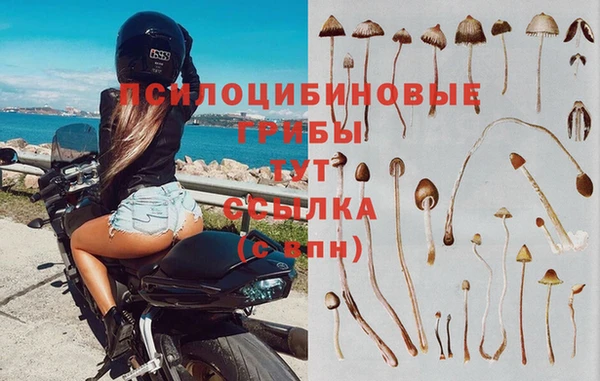 мескалин Ельня