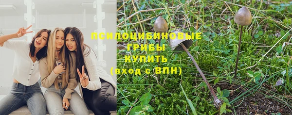 твердый Елизово