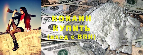 мескалин Ельня