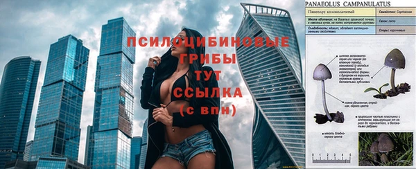экстази Елабуга