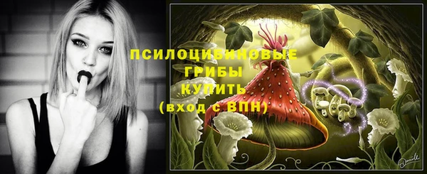 мескалин Ельня