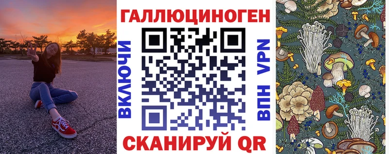 Купить где  Каспийск  Псилоцибиновые грибы Cubensis 