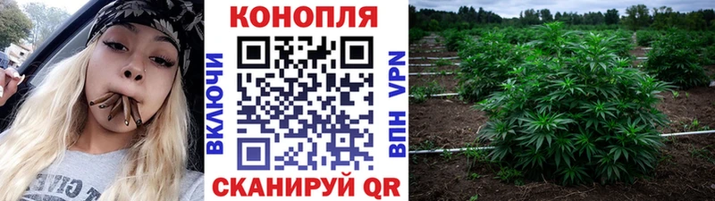 Купить  Каспийск  МАРИХУАНА SATIVA & INDICA 